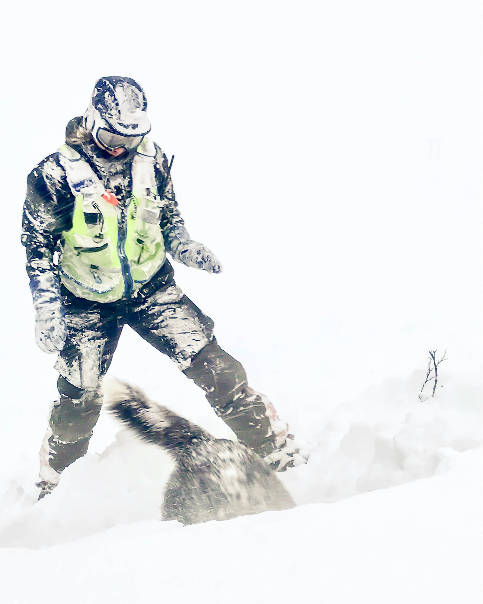 Susanne Bengtsson og Spiff