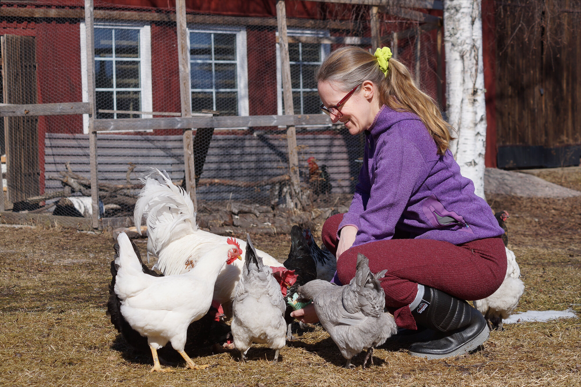Åsa med hønsene sine