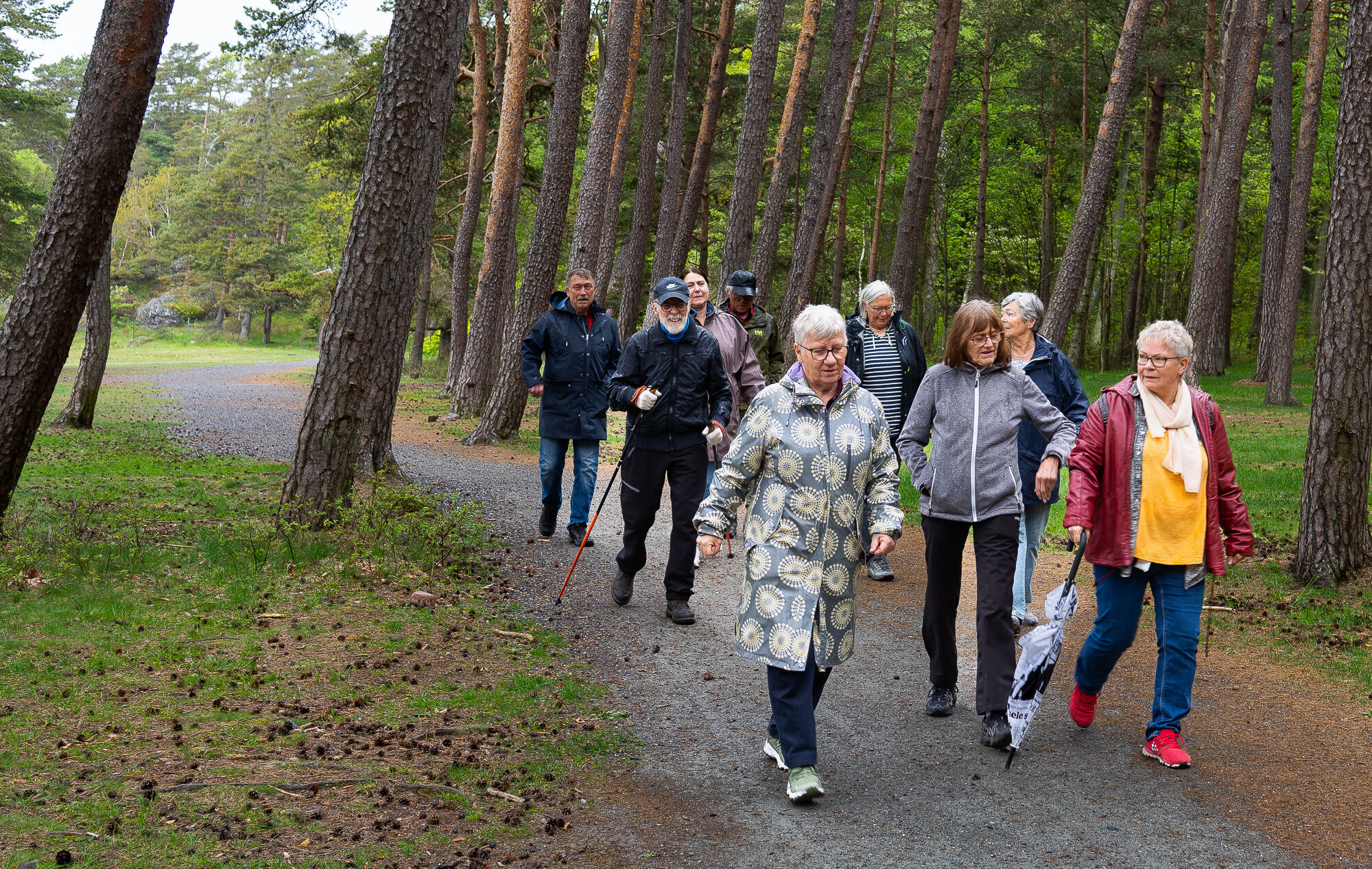 bildet viser turgruppa på Jeløya