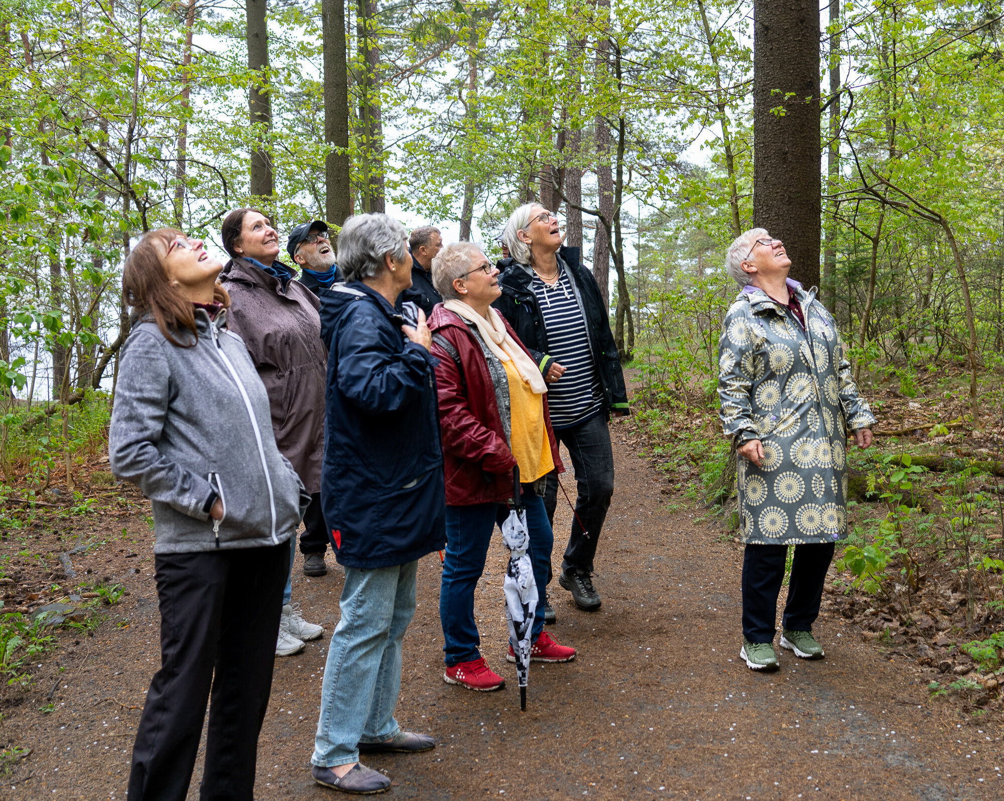 Bildet viser turgruppa på Jeløya