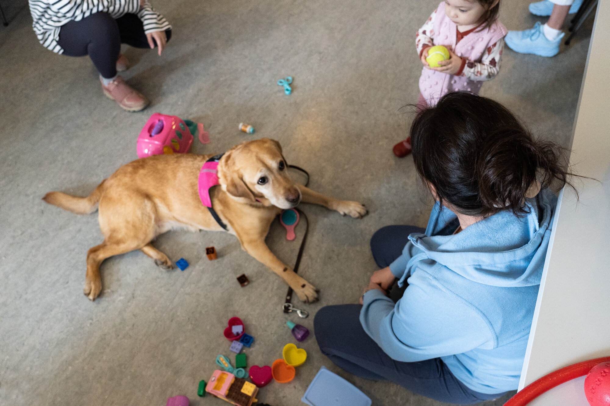 nando med lekene sine