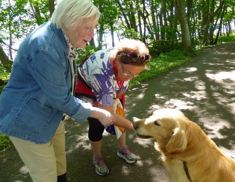 Bildet viser to som møter en hund