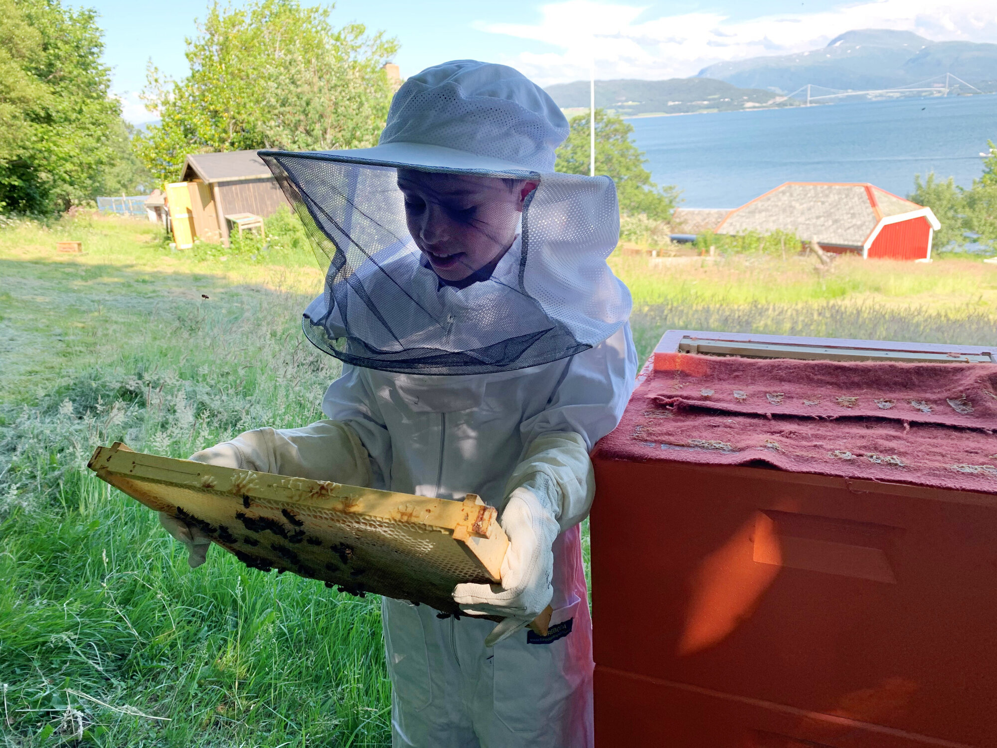 ung gutt i bigården