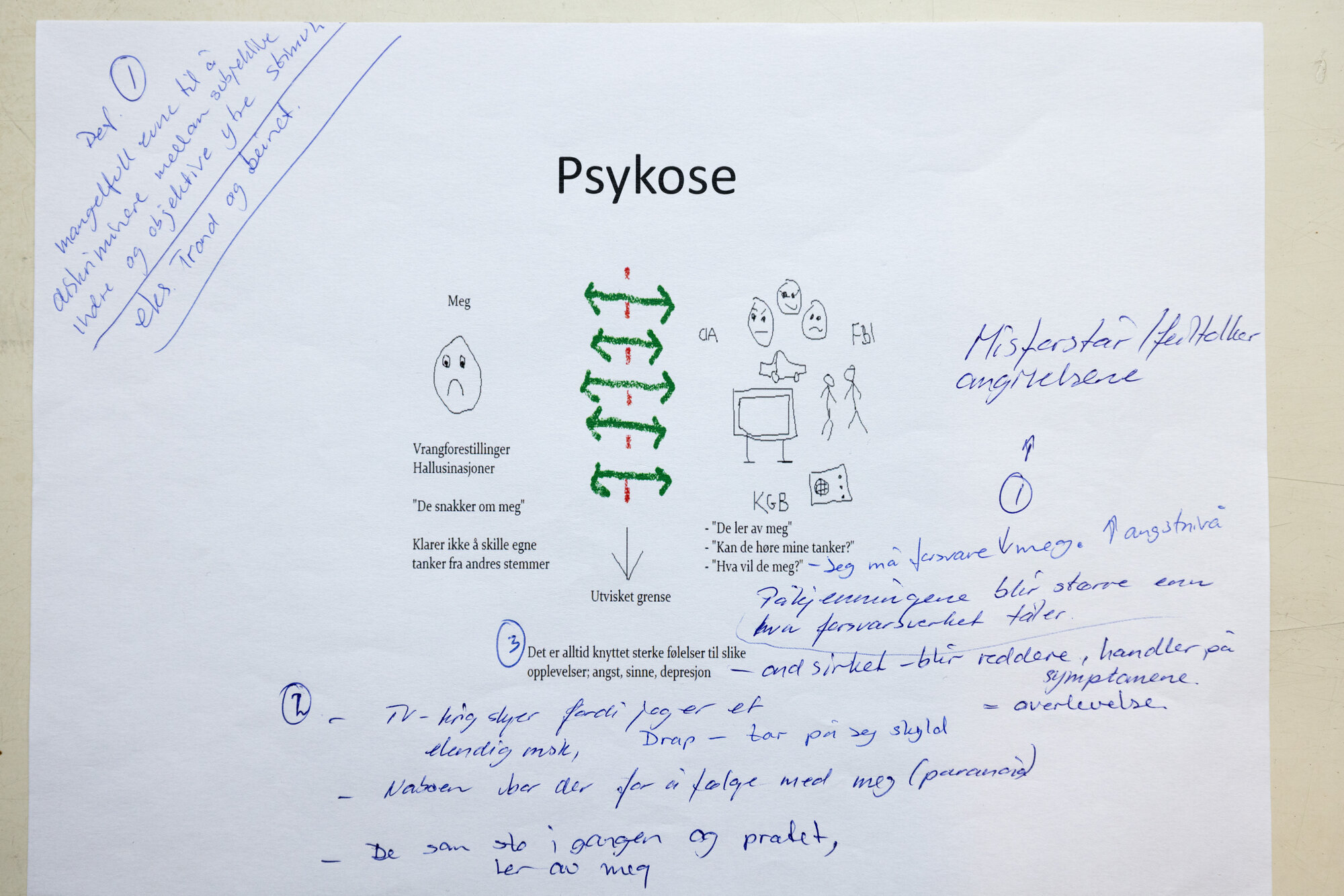 Bildet viser et skjema som illustrerer hvordan en psykose kan arte seg