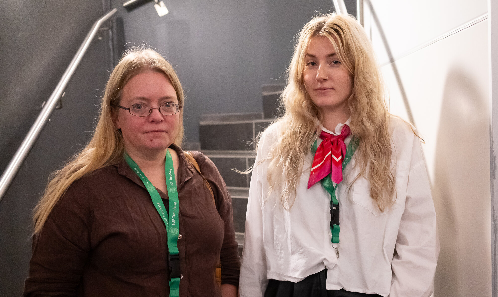 bildet viser Selfjord og Rørdal