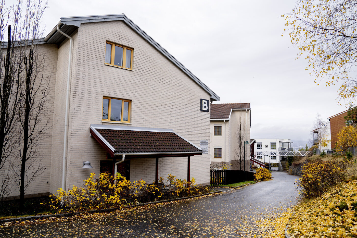 Bildet viser nedoddtunet