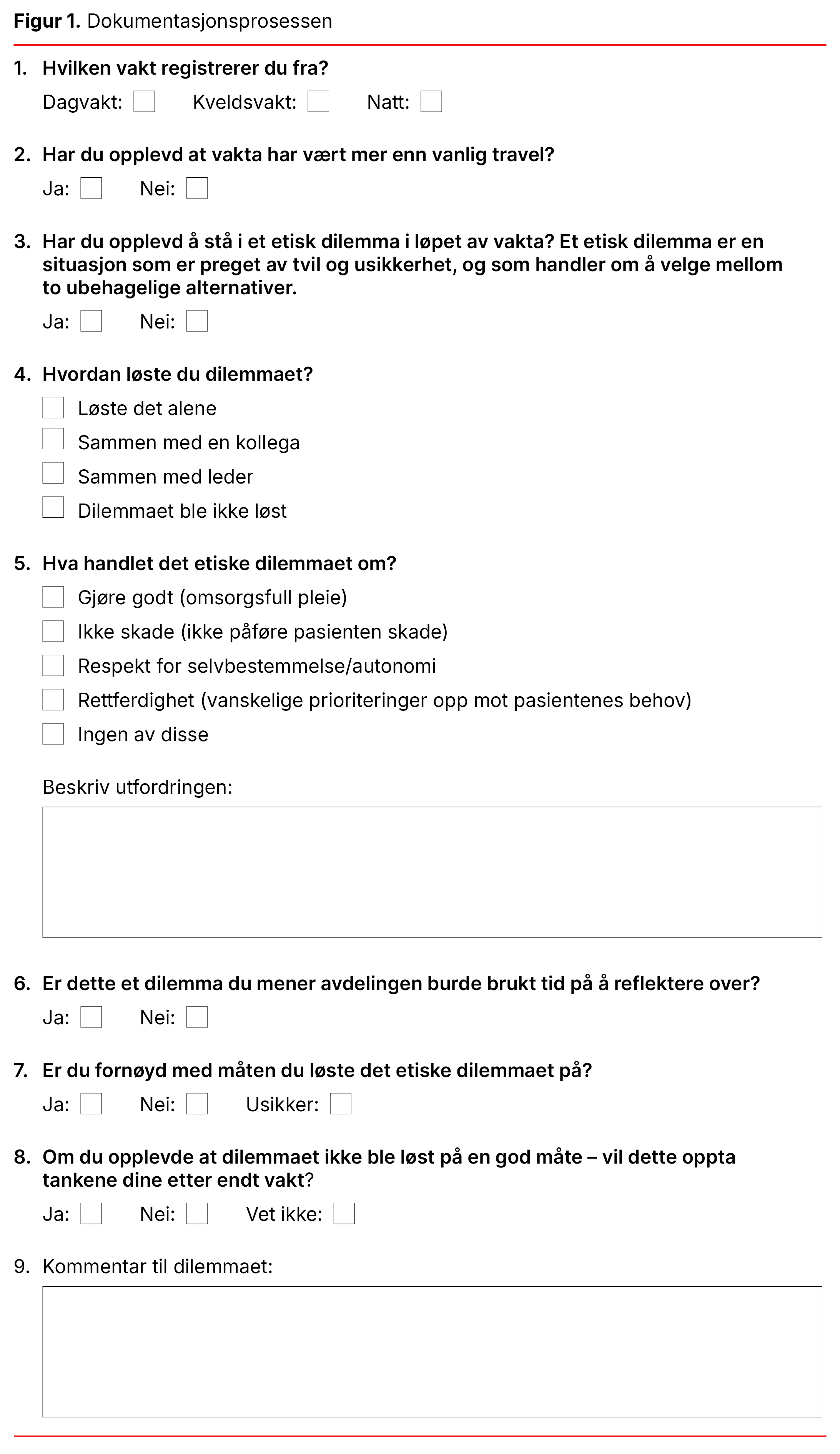 Figur 1. Dokumentasjonsprosessen