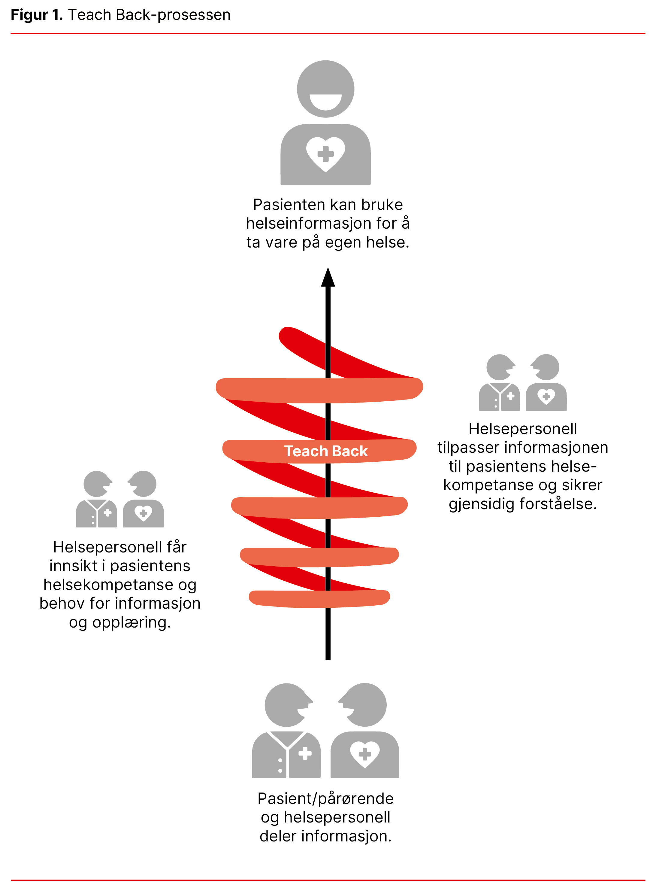 Figur 1. Teach Back-prosessen