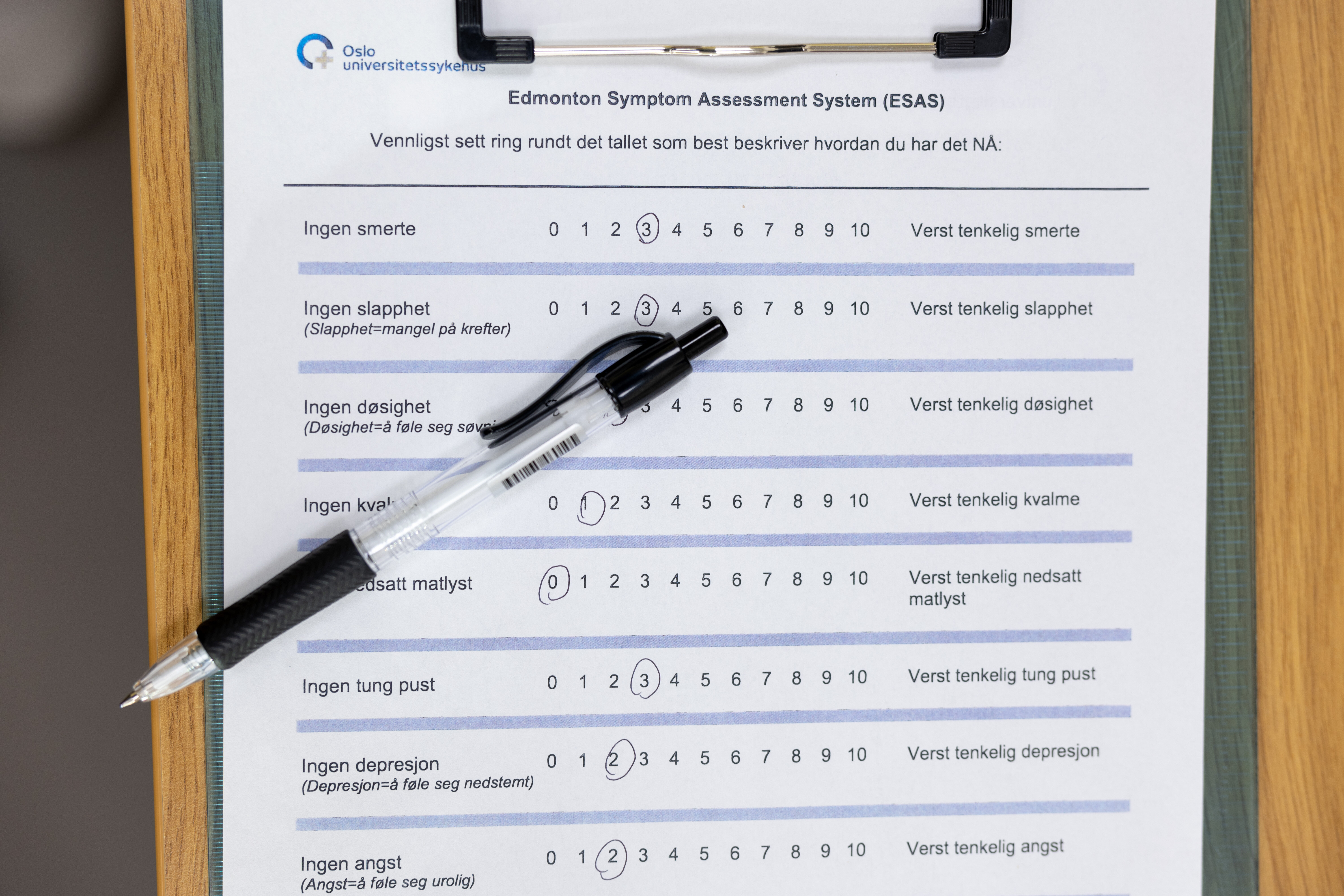ESAS-skjema til utfylling