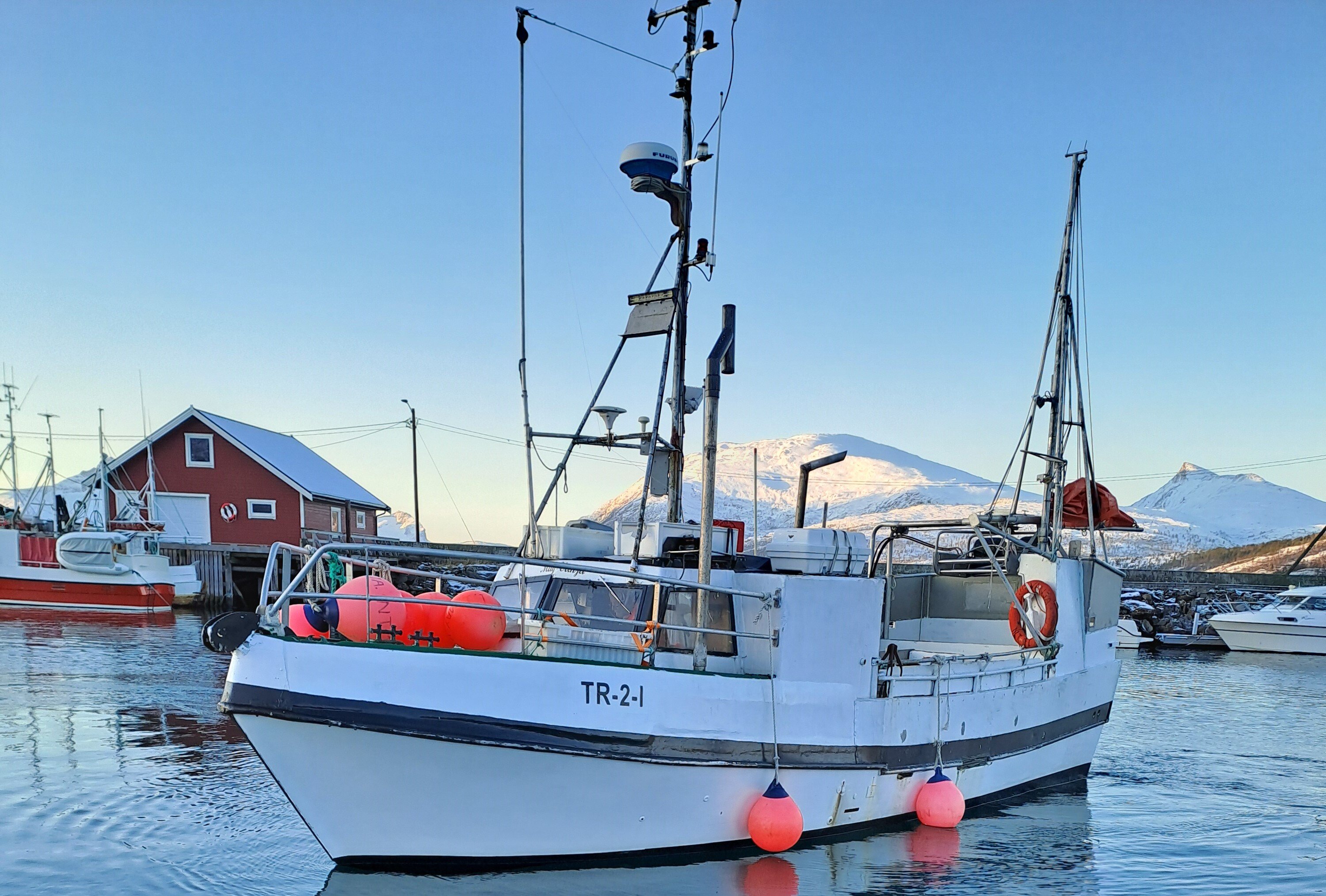 Bildet viser en sjark.