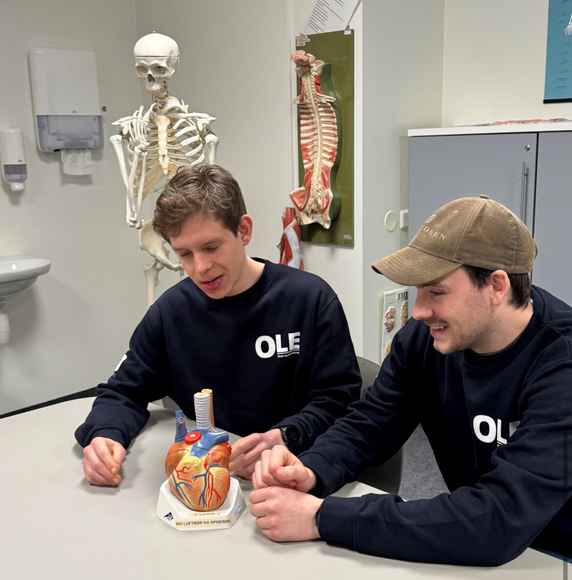 Bildet viser to gutter med en modell av er hjerte.