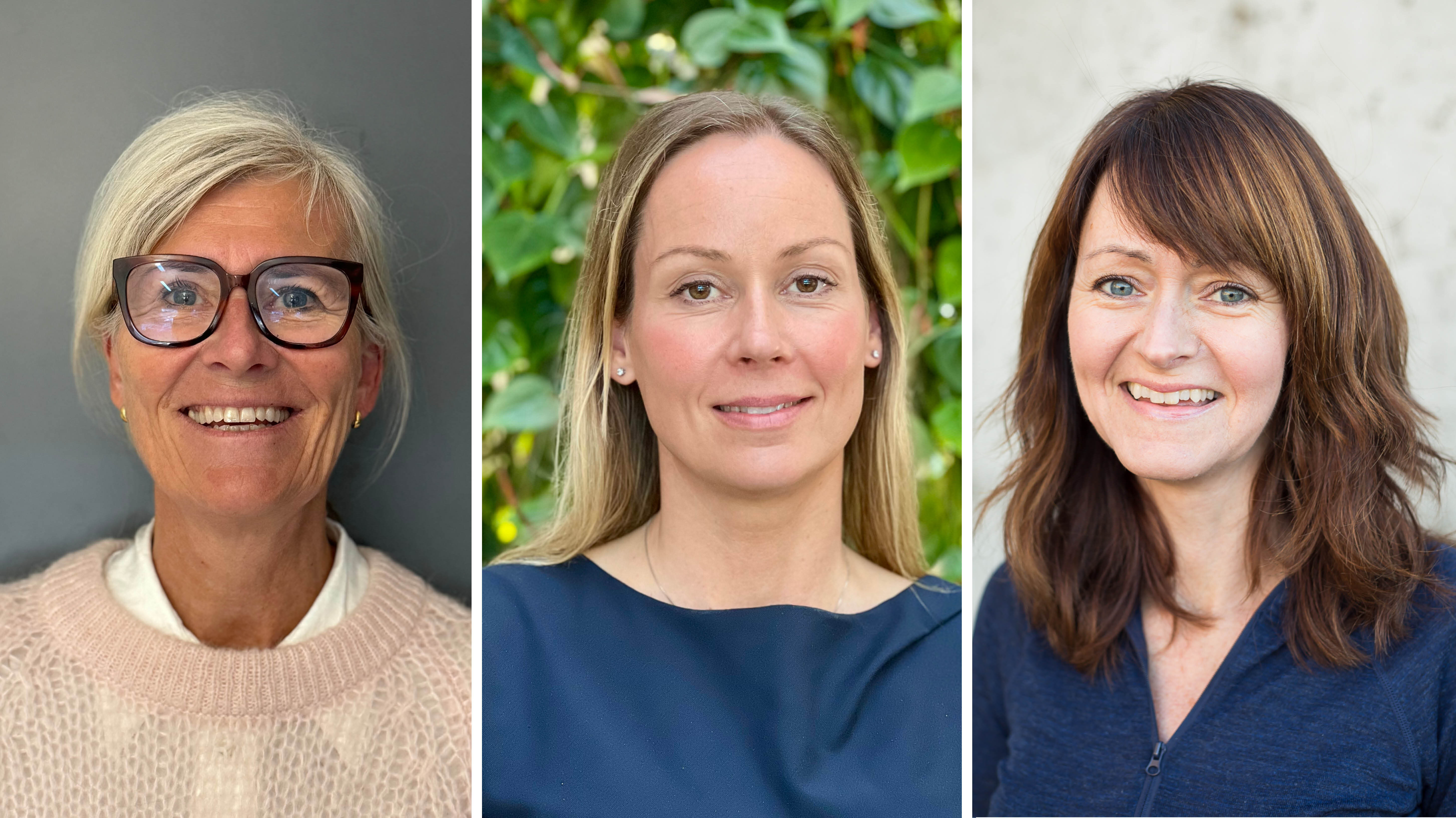 Bildet viser de tre innleggsforfatterne