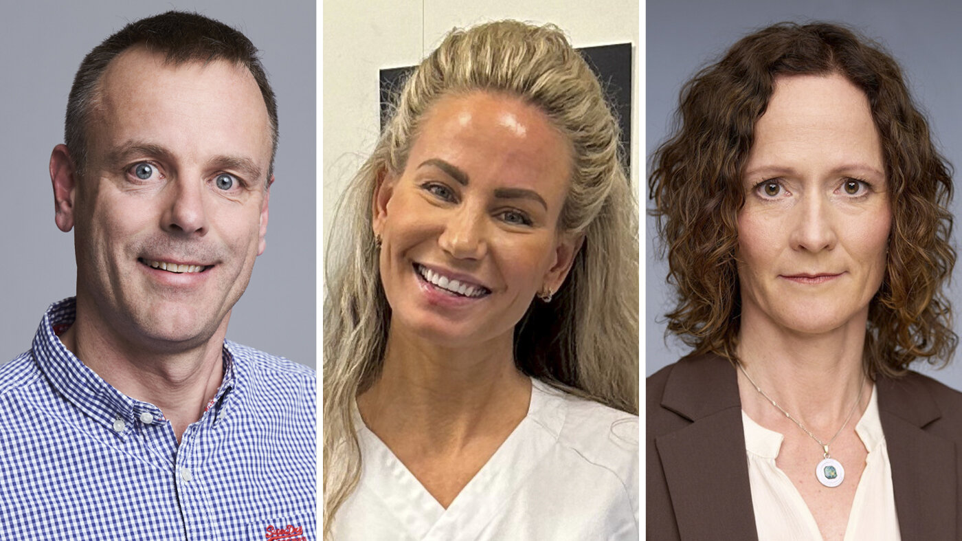 Bildet viser portrettbilder av innleggsforfatterne