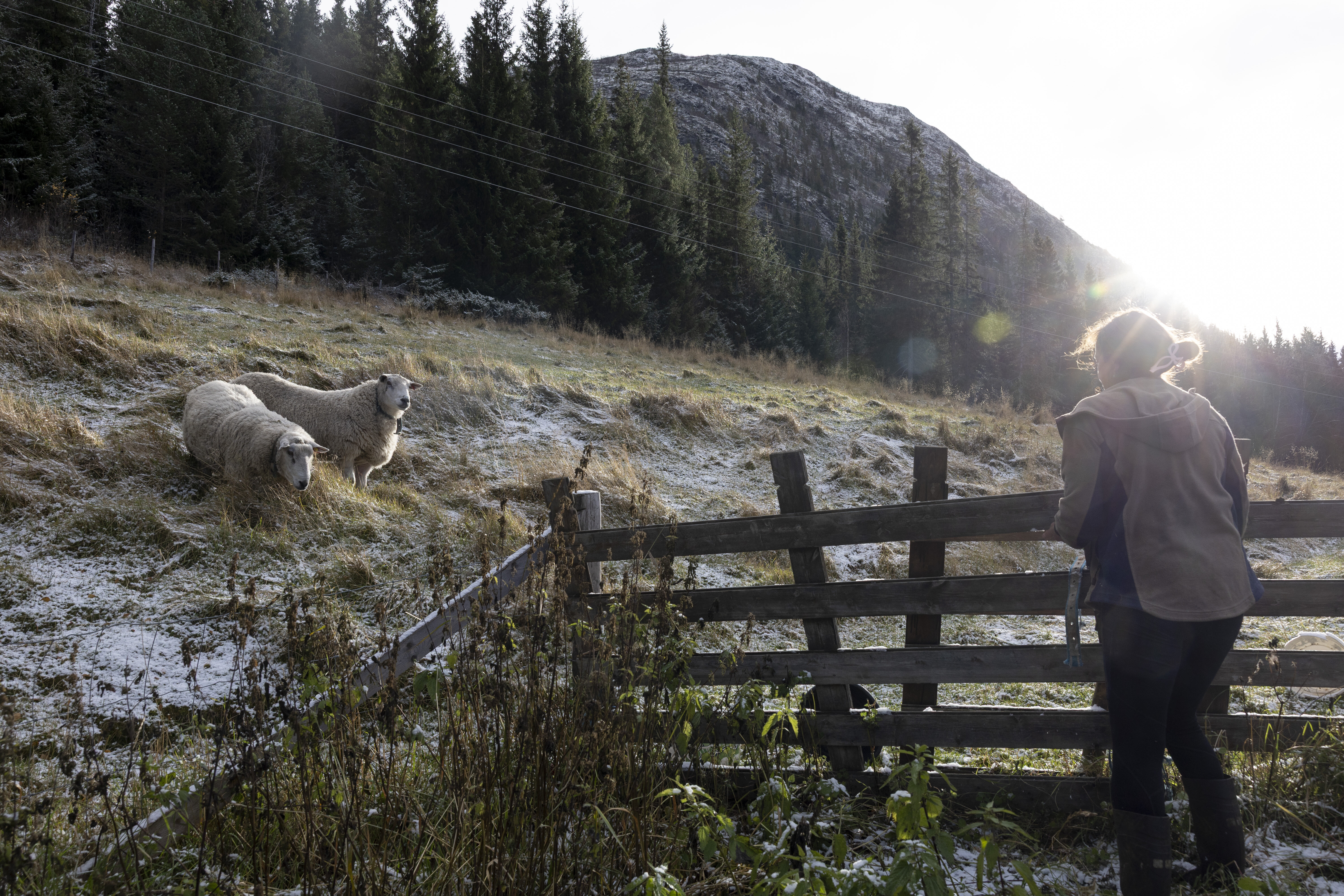 Bjørg Randmæl henter værene inn for vinteren