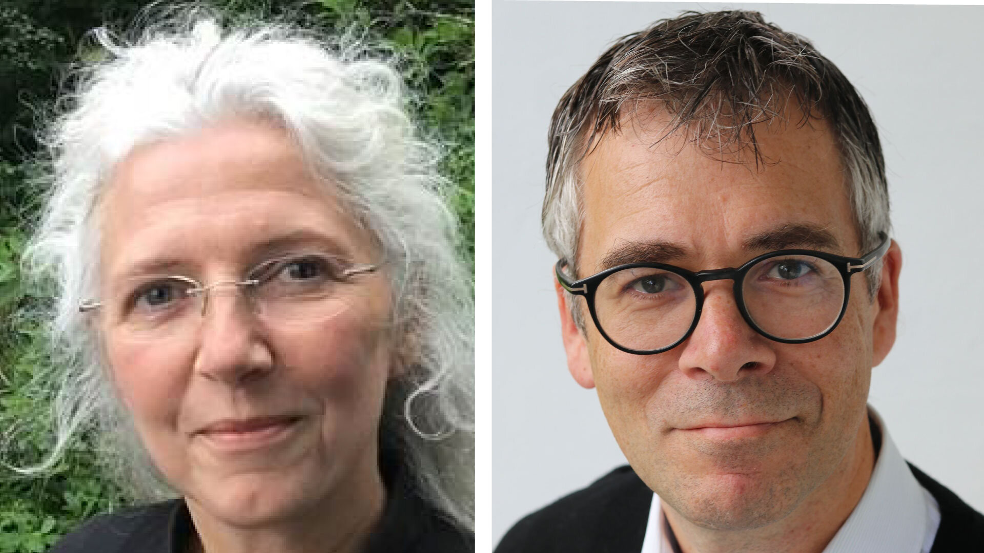 bilde av rose og fredwall