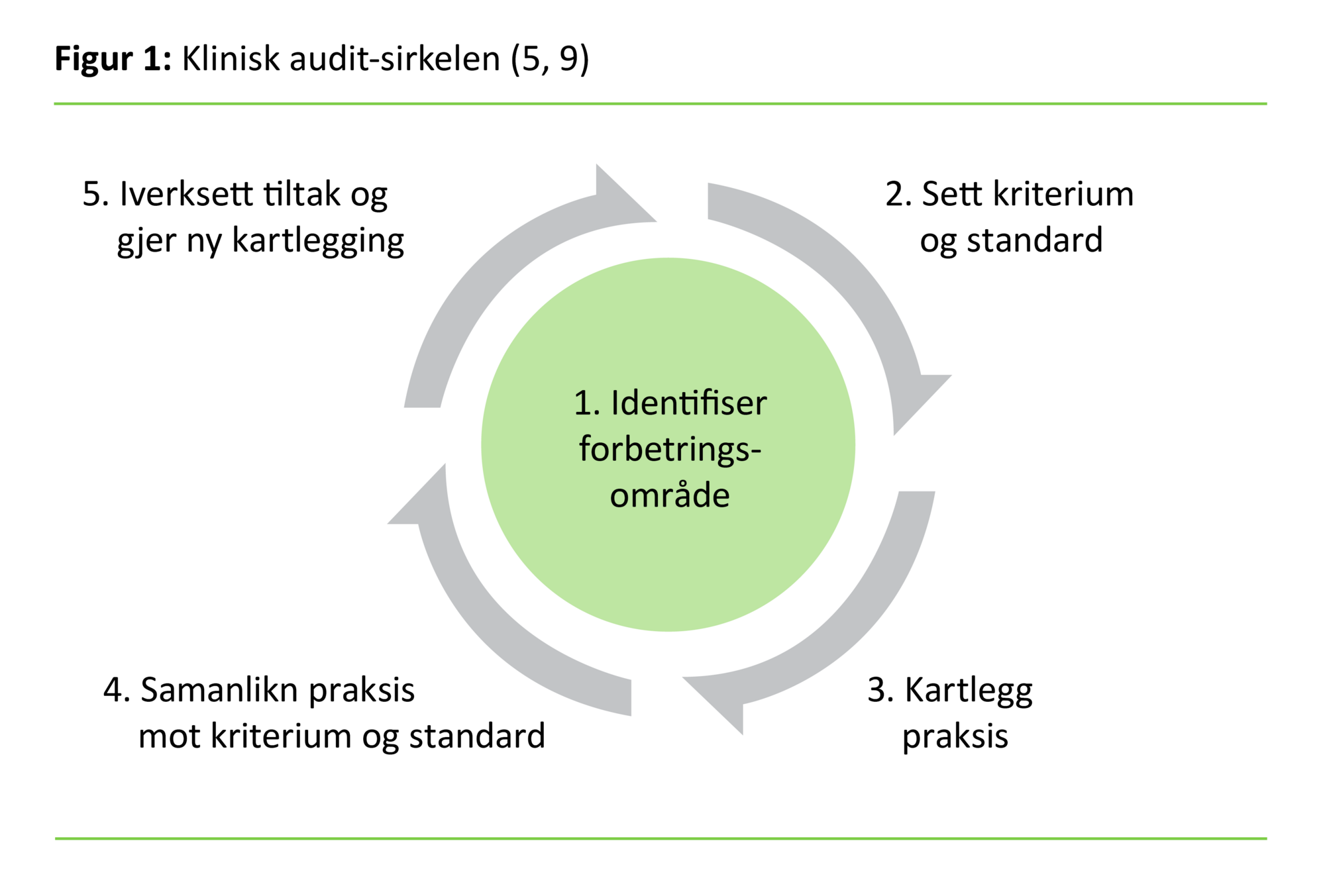 Figur 1 Klinisk audit-modellen