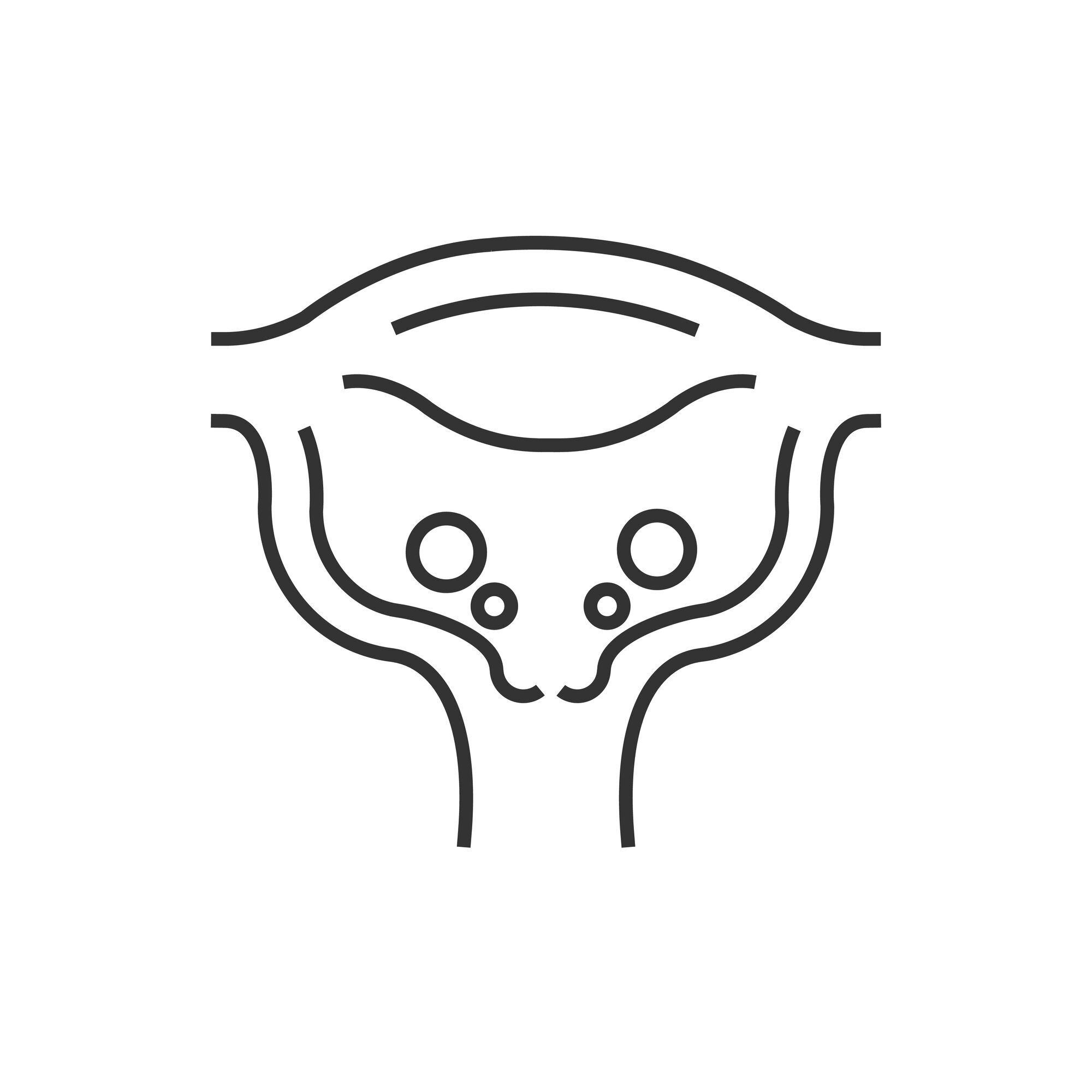 Tegningen viser en livmor med livmorhals.