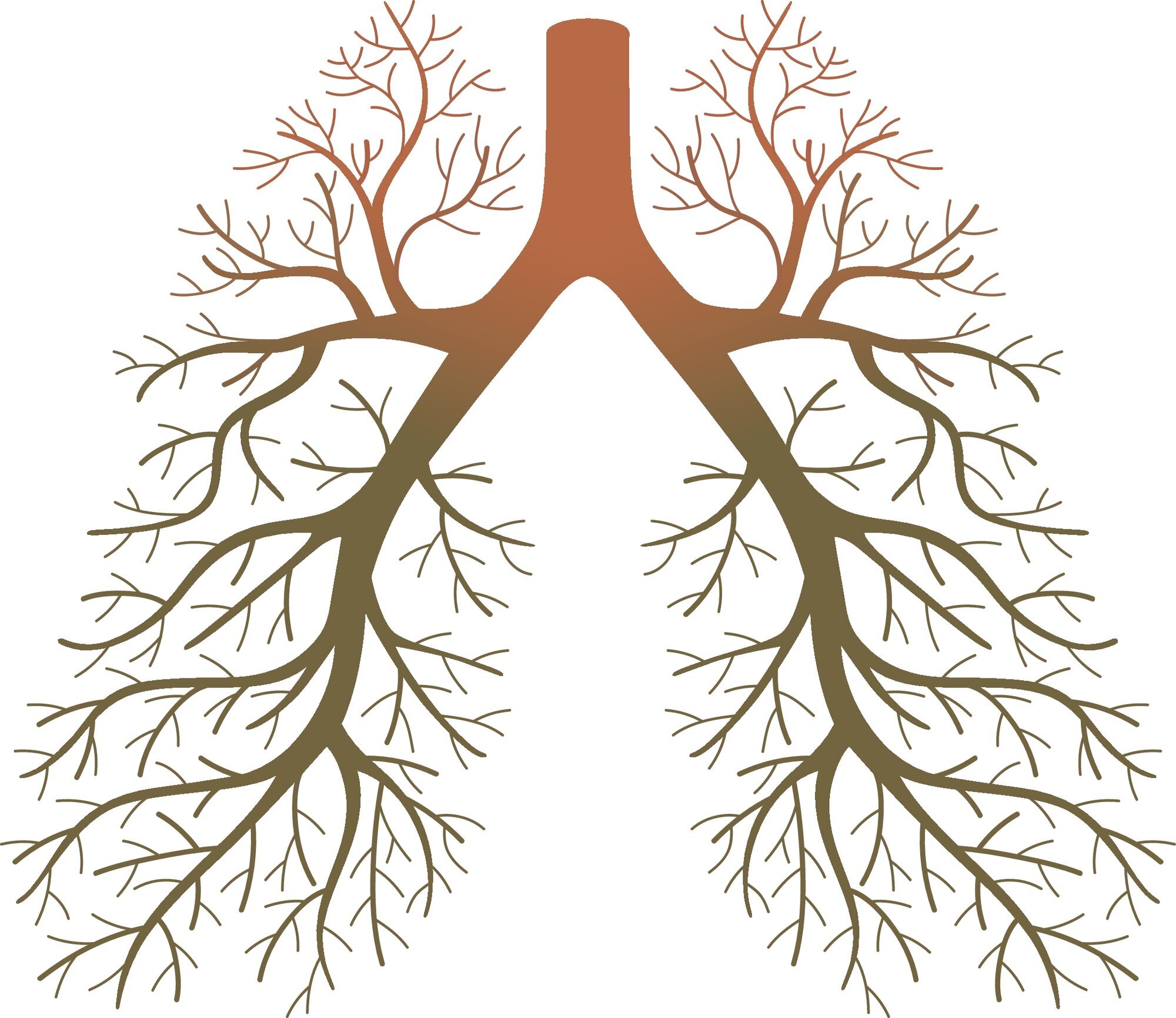 Illustrasjon av lunger i form av et tre med greiner