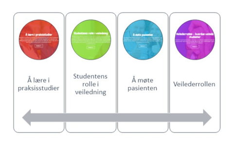 Praksisportalen har fire moduler med forskjellig tema.