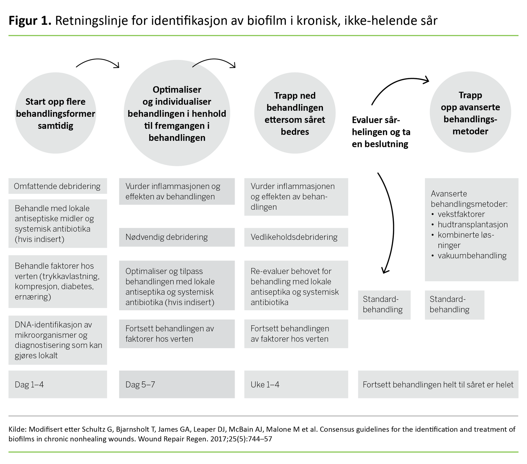 Figur 1. Retningslinje for identifikasjon av biofilm i kronisk, ikke-helende sår