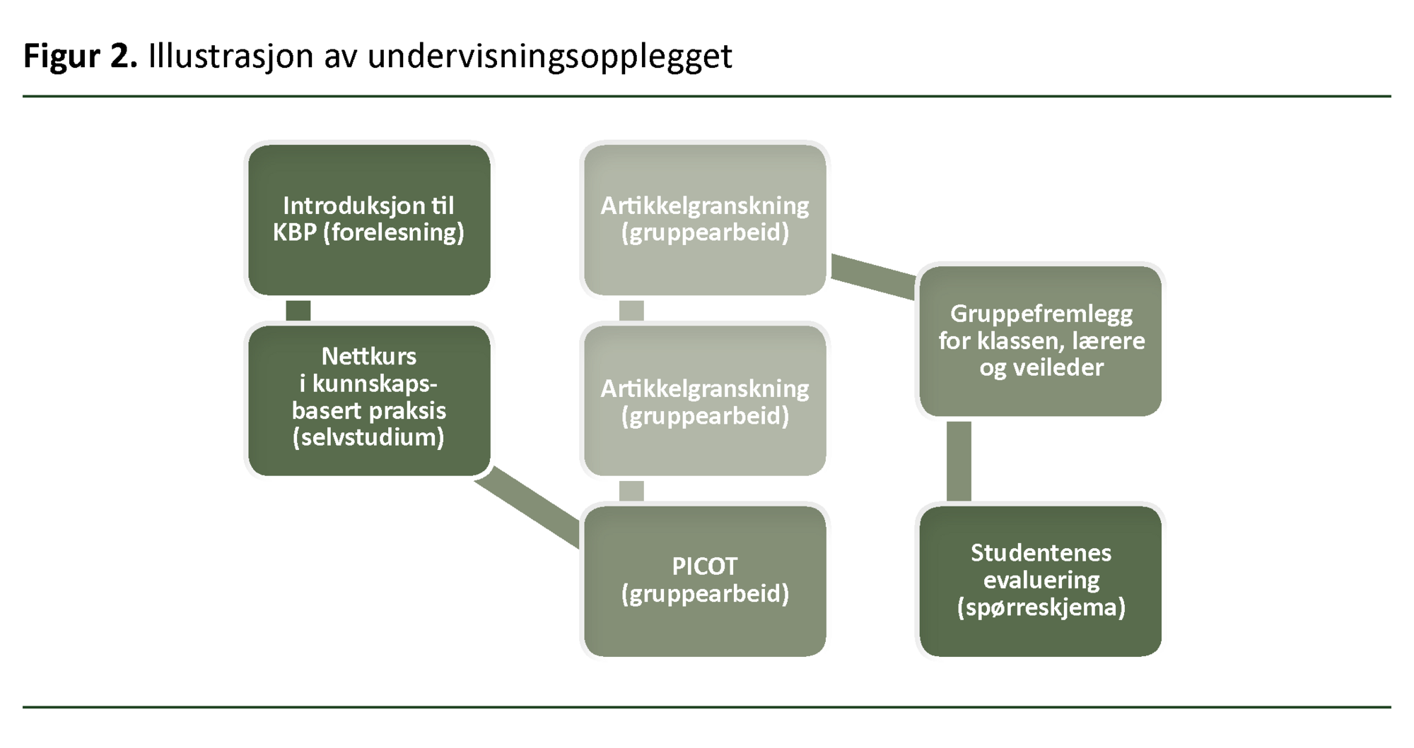 Figur 2. Illustrasjon av undervisningsopplegget