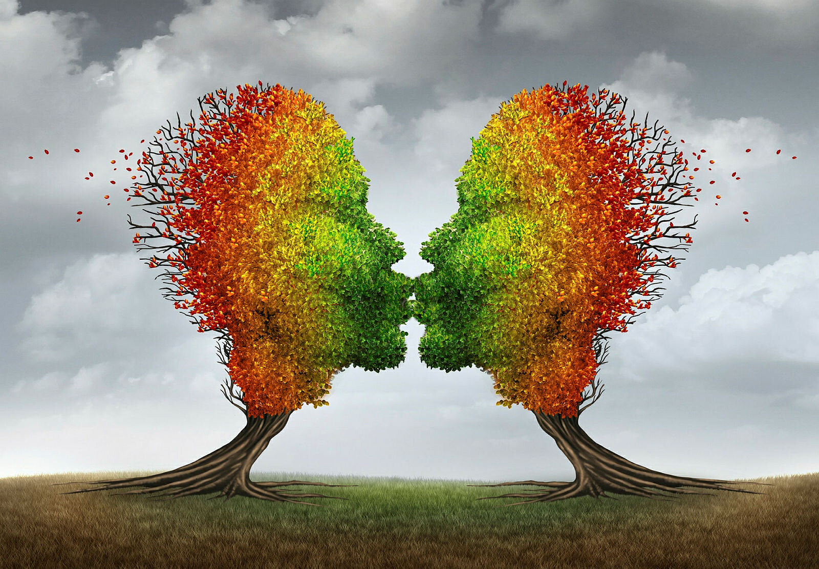 Bildet er en illustrasjon av to høstlige trær som kysser.