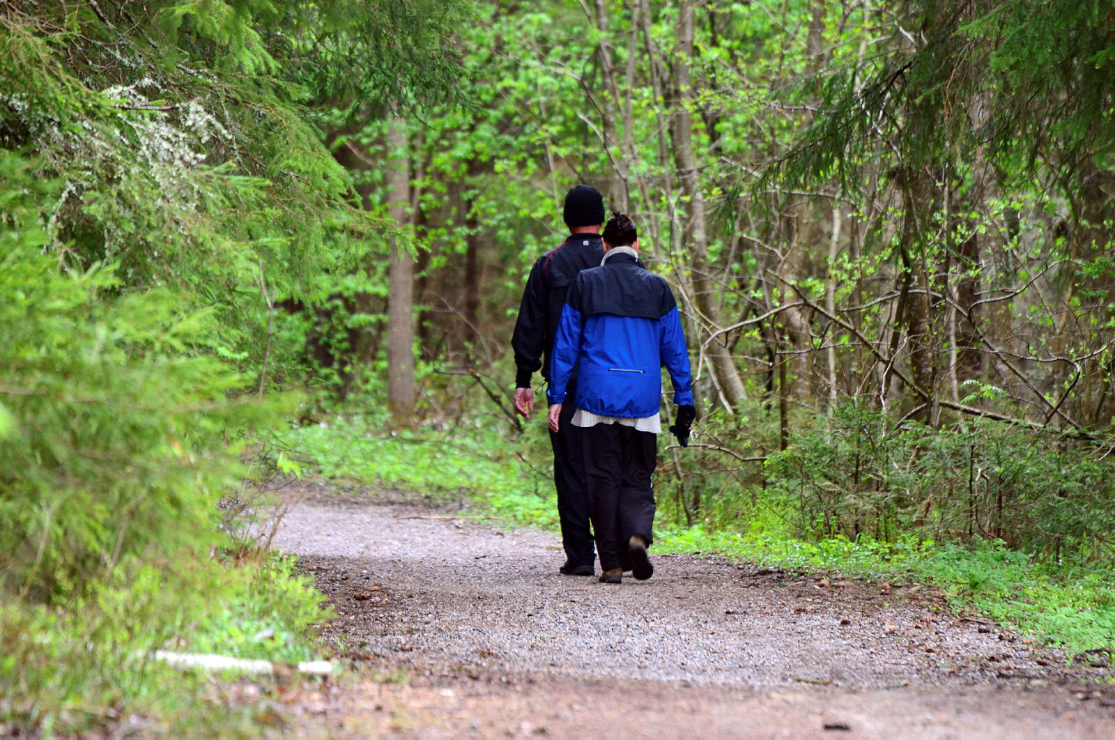 Bildet viser to personer sett bakfra som går tur i skogen.