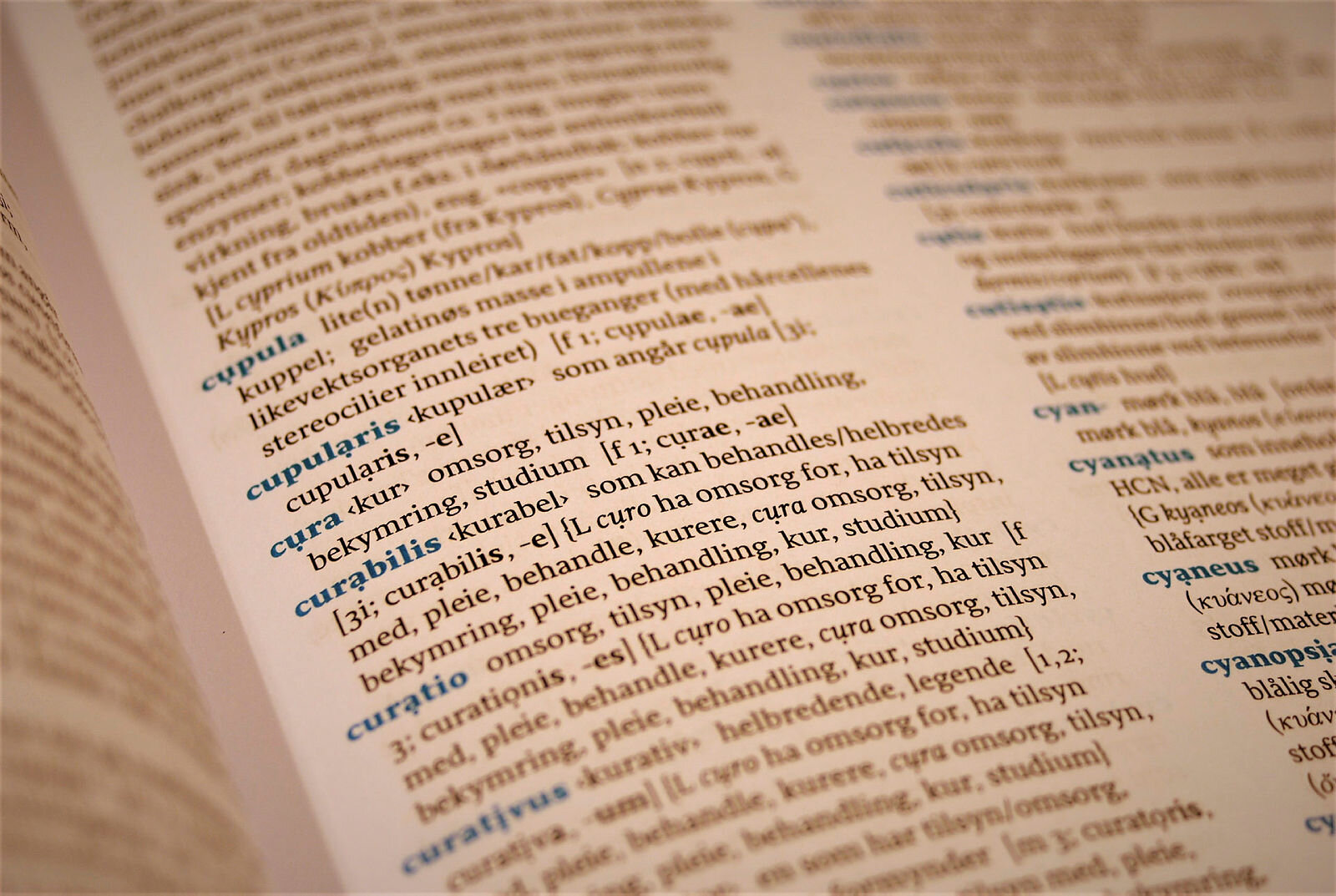 Utsnitt fra oppslag i "Medisinsk-biologisk ordbok" av Steinar Risnes, Cappelen Damm 2018.