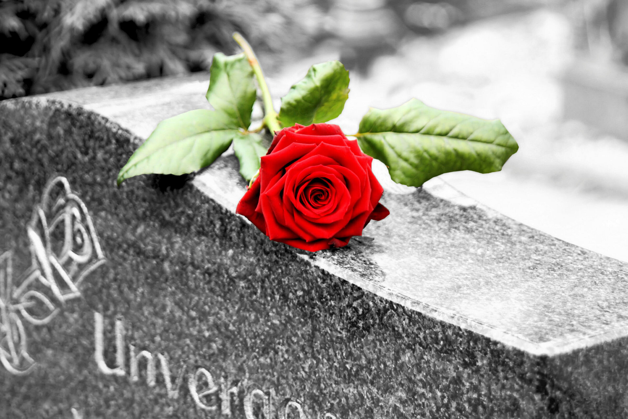 Rose på gravstein