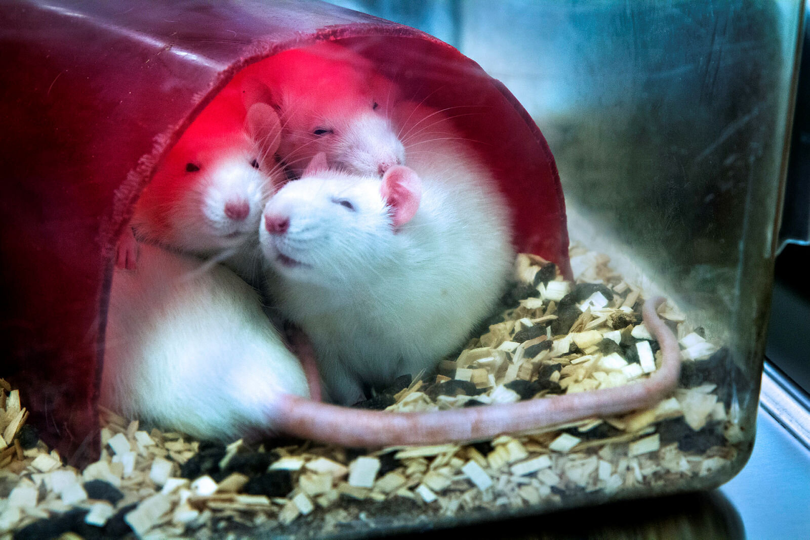 Universitetet i Bergen