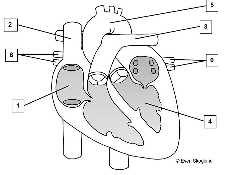 Skjermdump av oppgave to