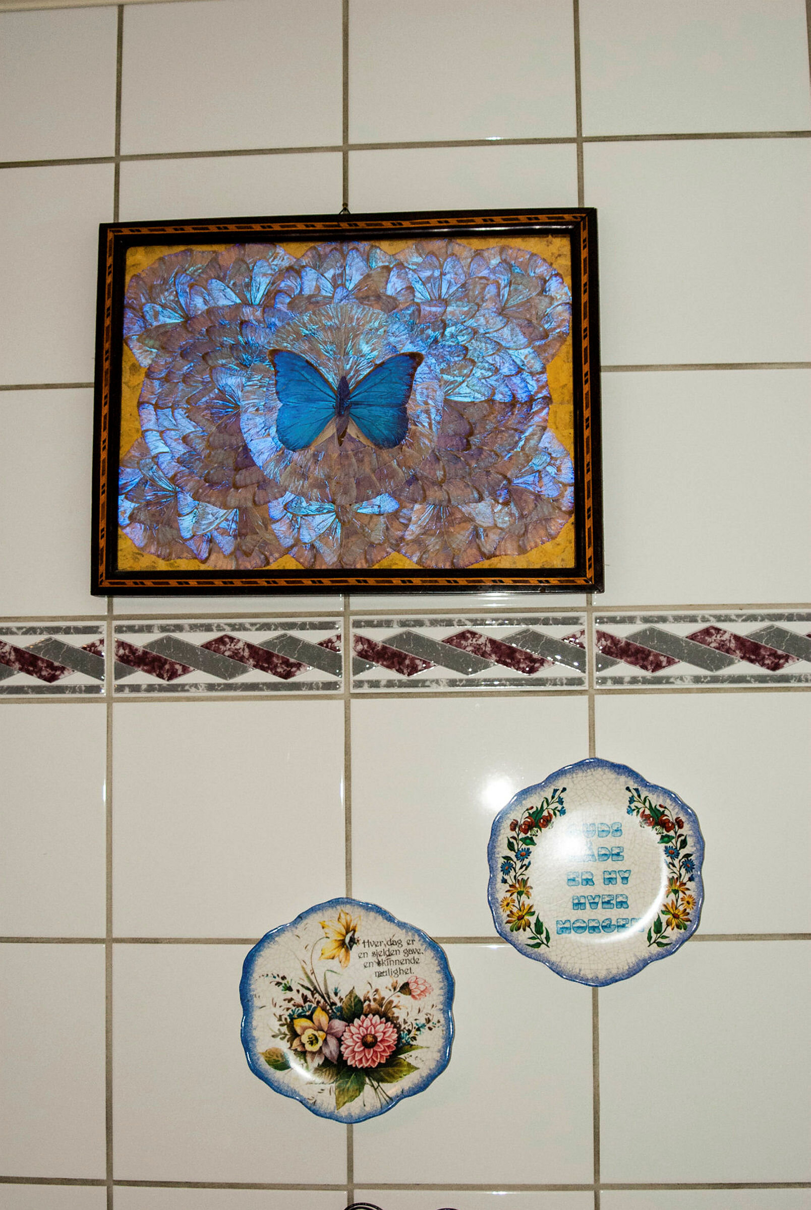 Sissel Tytlandsvik til portrett i #Under omsorg