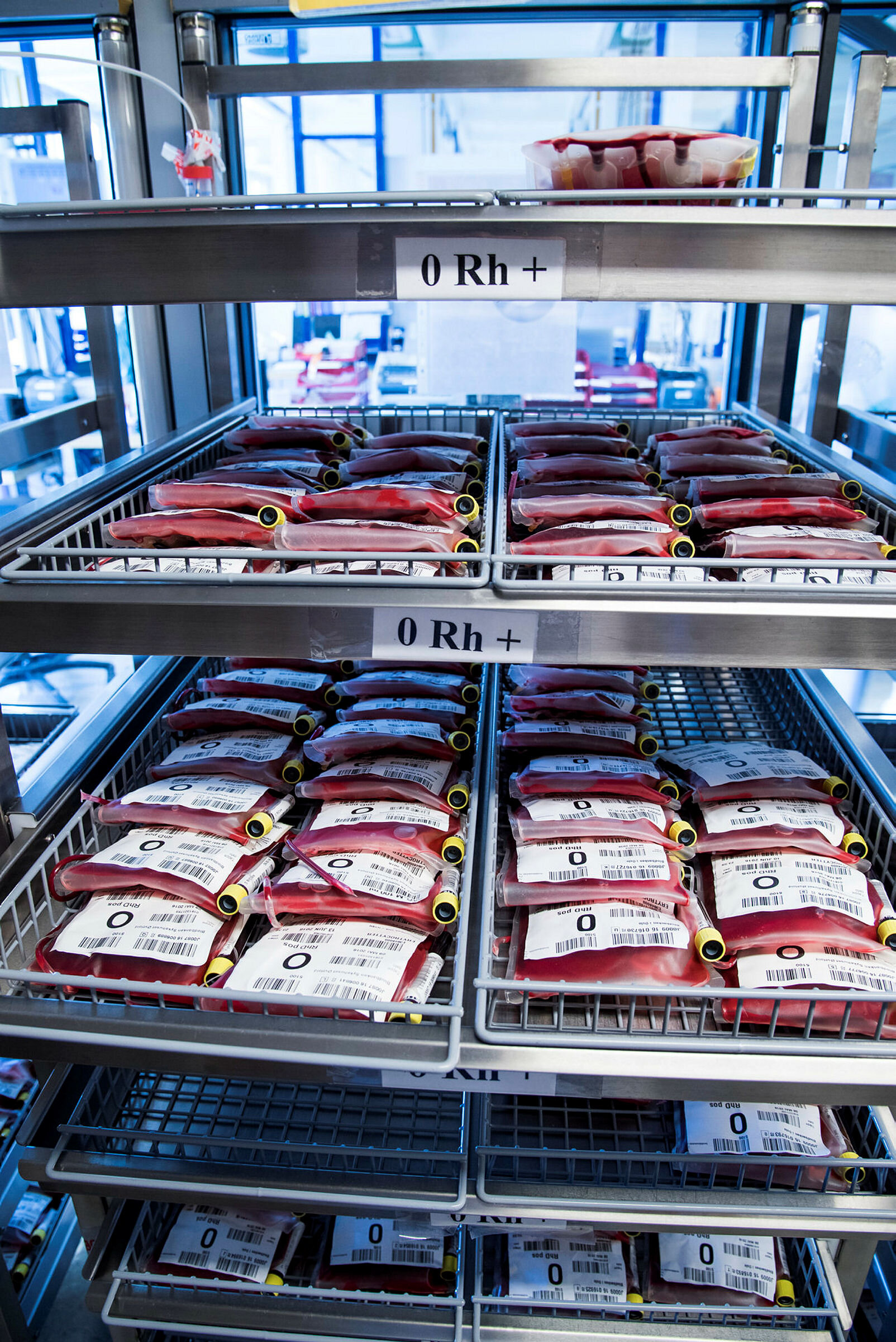 Bildet viser blod klart til transfusjon.