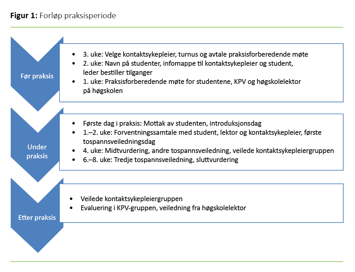 Figur 1 Forløp praksisperiode