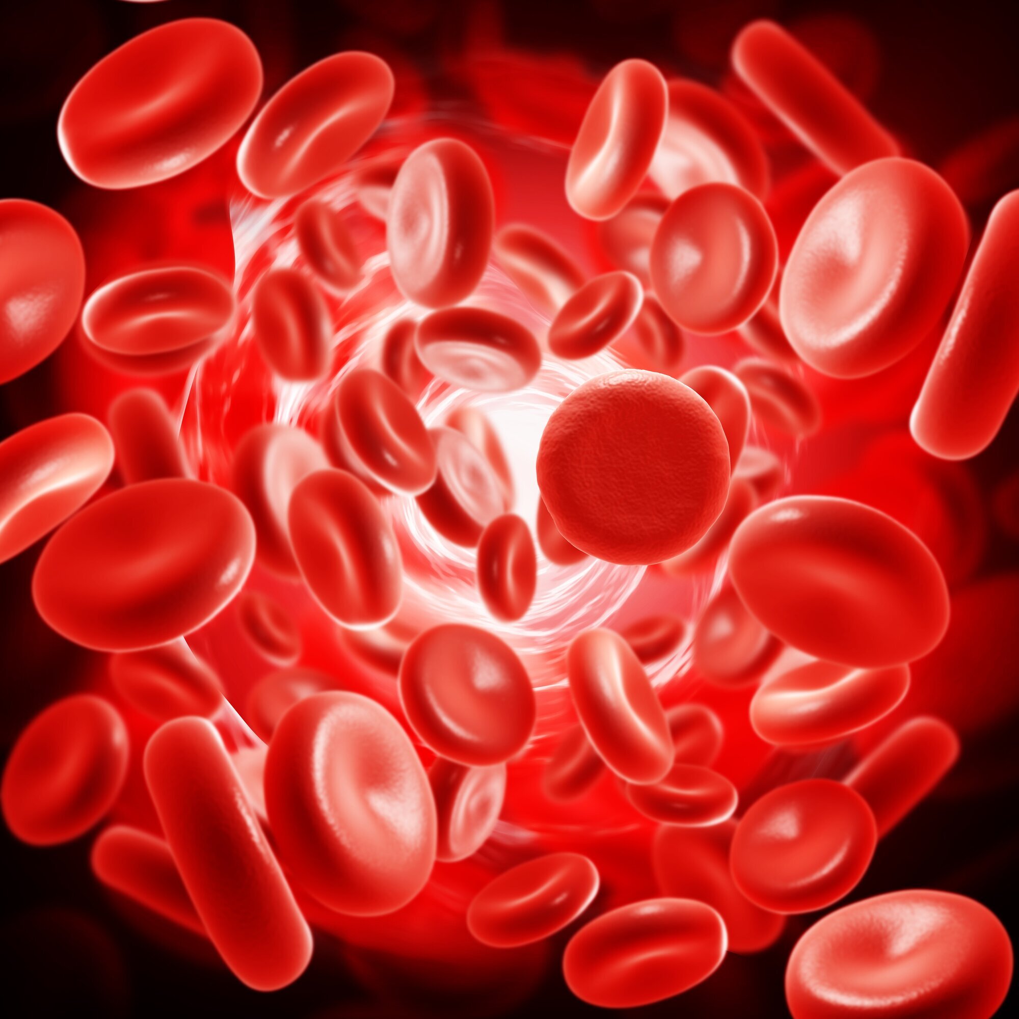 Bildet viser erytrocytter