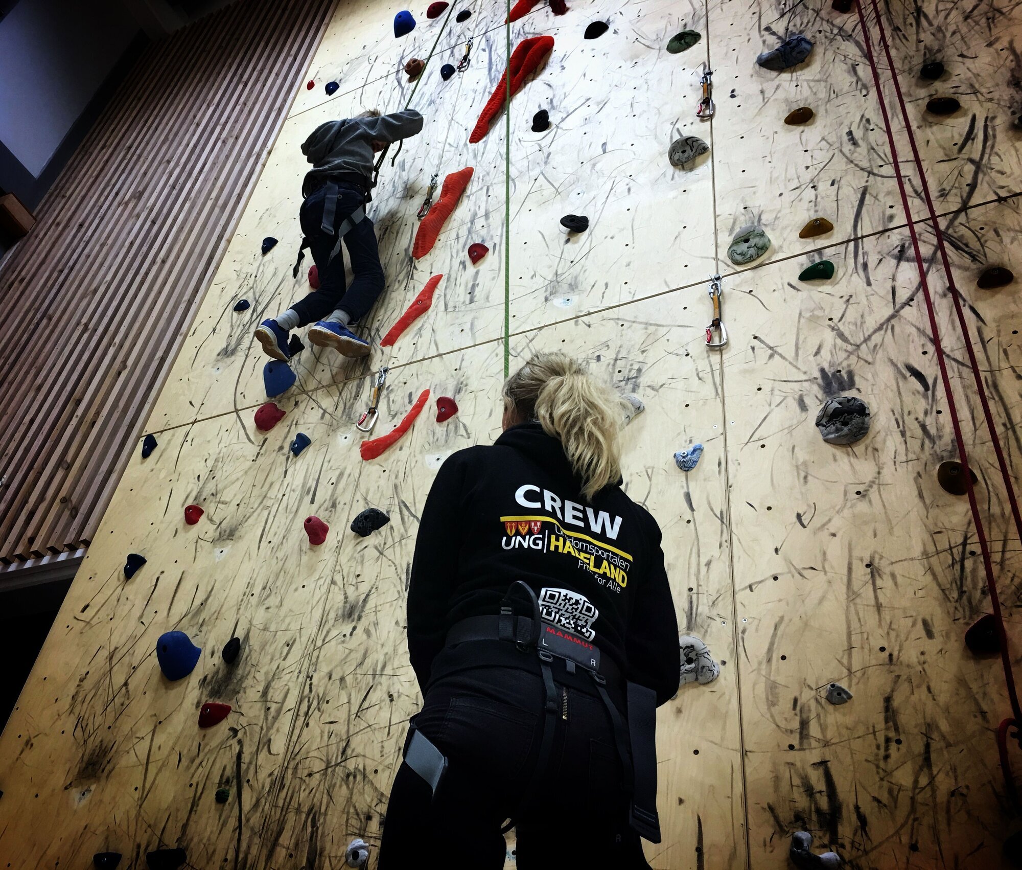 Bildet viser klatring i en innendørs klatrevegg