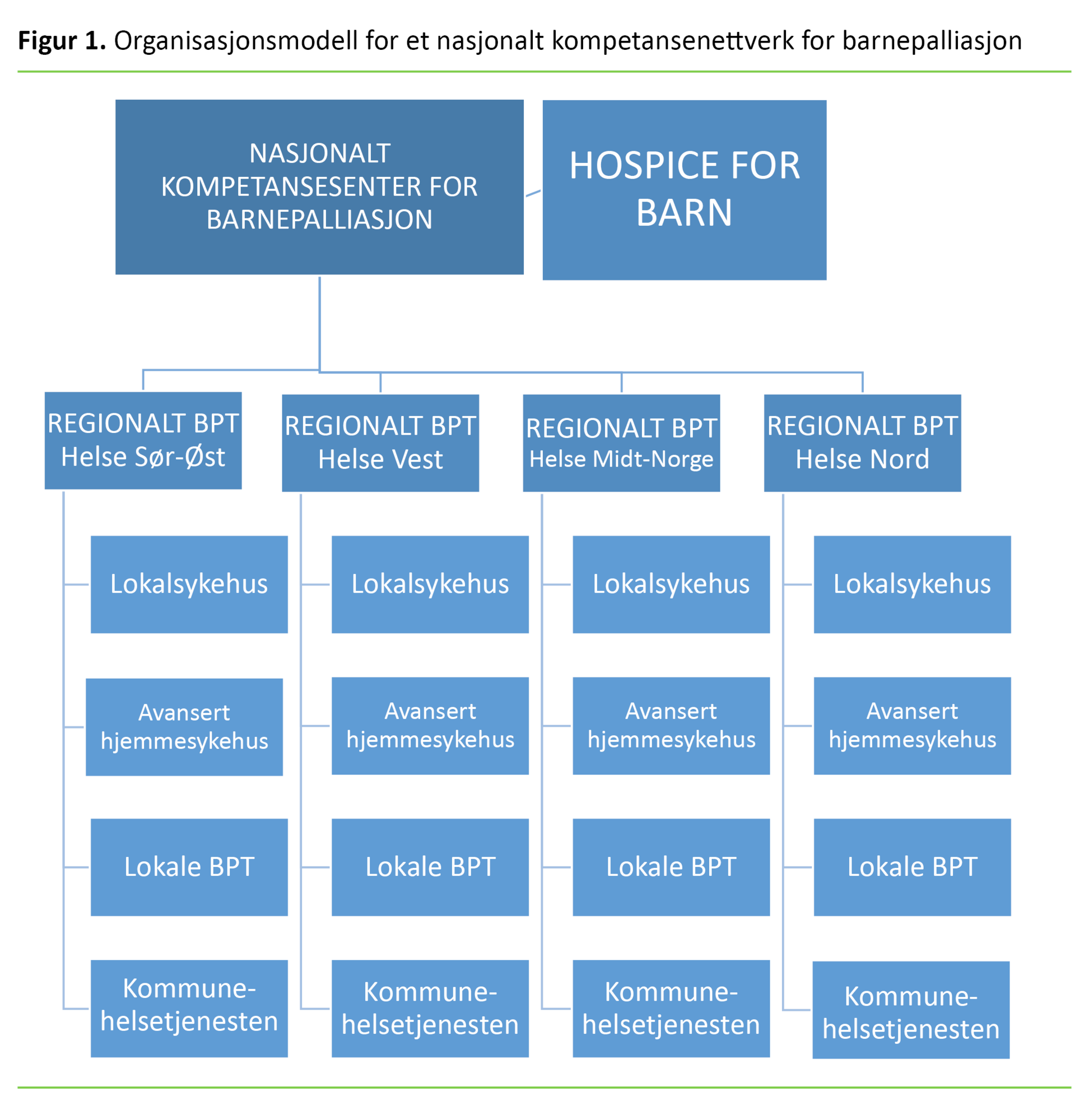 Figur 1 Organisasjonsmodell for et nasjonalt kompetansenettverk for barnepalliasjon