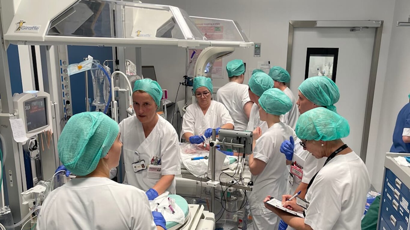 bilde av personale på føden