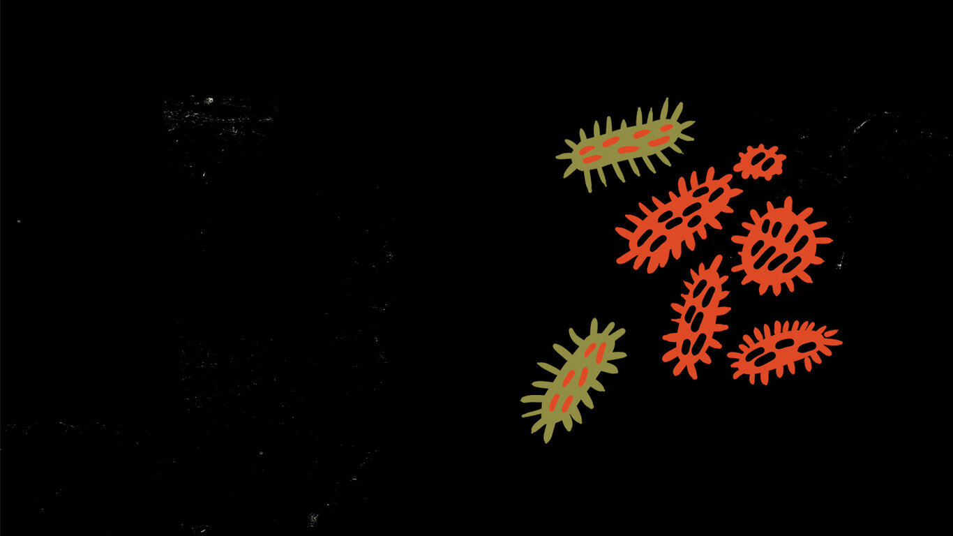 Illustrasjonen viser bakterier