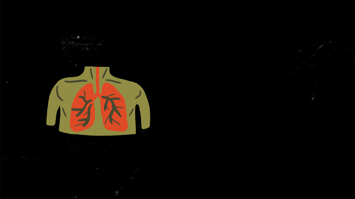 Illustrasjonen viser lunger
