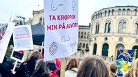 Bildet viser demonstrasjon utenfor Stortinget