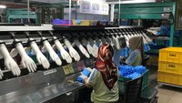 Bildet viser arbeidere på en hanskefabrikk i Malaysia. Bildet viser arbeidere på en hanskefabrikk i Malaysia.