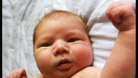 Bildet viser en nyfødt guttebaby.