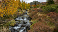 Høstfarger i Gravdalen på fjellet mellom Kvam og Vinstra i Gudbrandsdalen