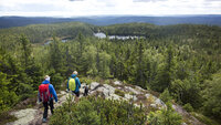 Bildet viser turgåere i skog