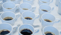 Bildet viser mange kopper med kaffe.