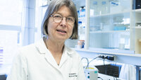 Bildet viser immunolog Anne Spurkland. 