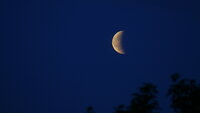 Halvmåne i svart natt