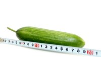 Størrelse Illustrasjonfoto av en agurk ved siden av målebånd