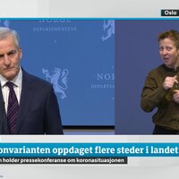 Skjermdump fra pressekonferanse med Jonas Gahr Støre